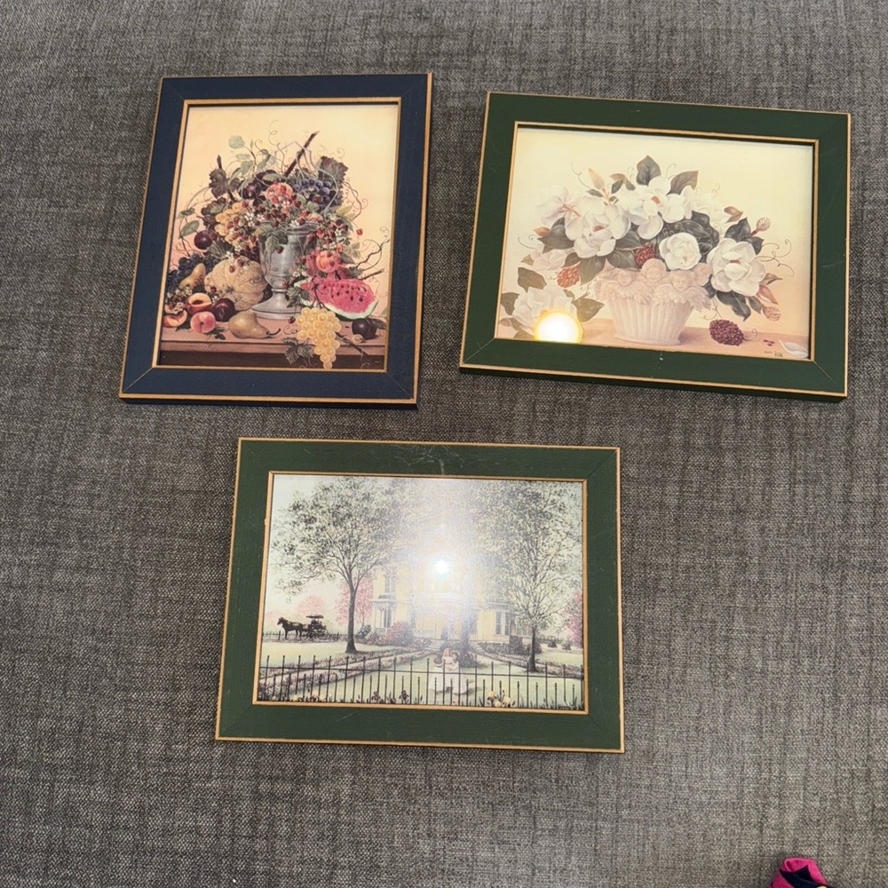Set of 3 Framed Wall Prints in Green and Navy Accent Mats